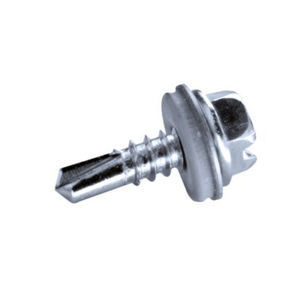 screw with hexagonal head