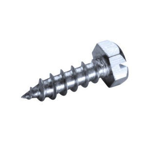screw with hexagonal head