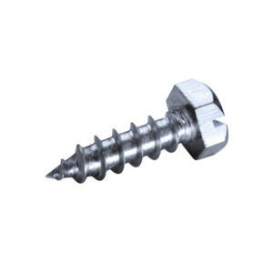 screw with hexagonal head