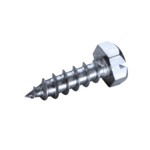screw with hexagonal head