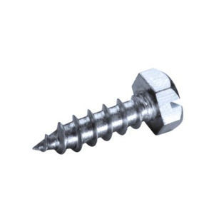 screw with hexagonal head