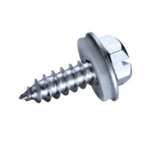 screw with hexagonal head