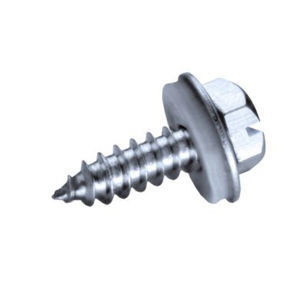 screw with hexagonal head