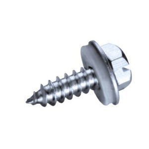 screw with hexagonal head