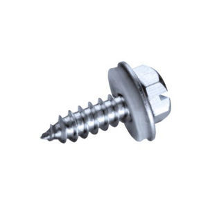 screw with hexagonal head
