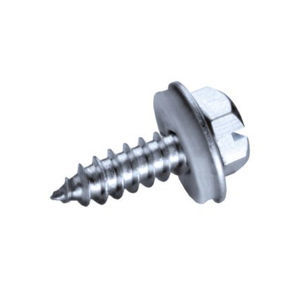 screw with hexagonal head