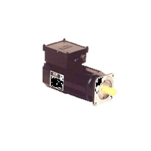 交流伺服电动机