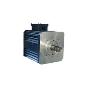 brushless servomotor