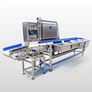 sorter for the food industry