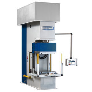 hydraulic press
