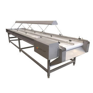 belt conveyor