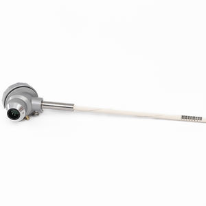 oxygen probe 1