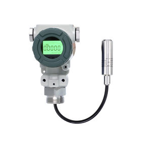 level transmitter with digital display 1