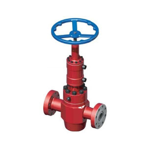 gate valve