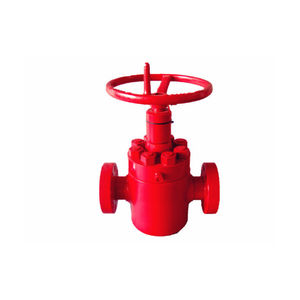 gate valve