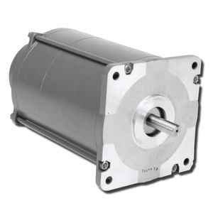 synchronous motor