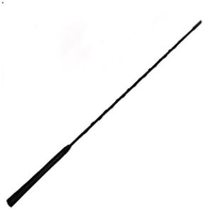 FM antenna