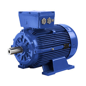 AC motor
