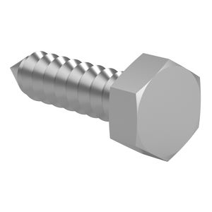 screw with hexagonal head