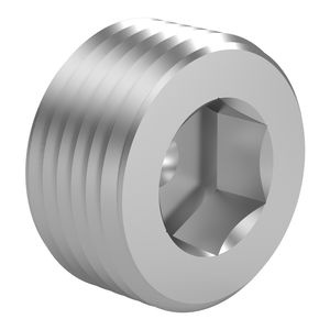 cylindrical plug