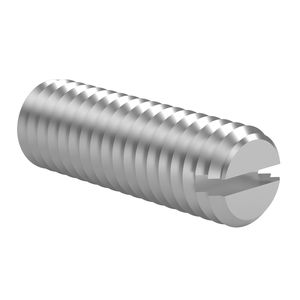 Headless screw - ISO 4766 - Lederer