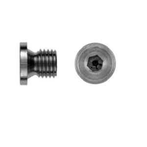 cylindrical plug