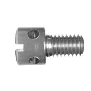 slotted screw