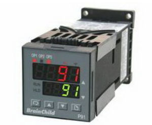 analog temperature controller / PID / ramp/soak-programmable / configurable