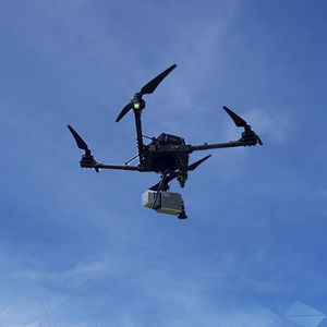 surveying system