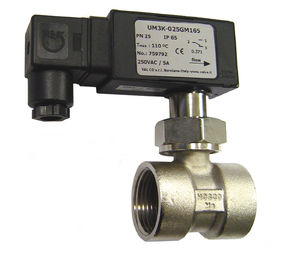 paddle flow switch