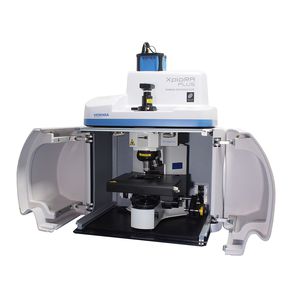 Raman microscope