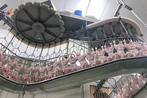 multihead weighing machine / poultry / high-speed