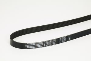 ribbed belt
