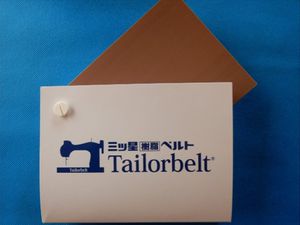 flat belt 1