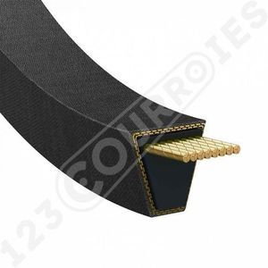 toothed belt 1