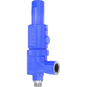 gas safety valve