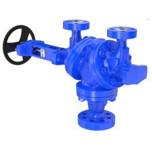 globe valve