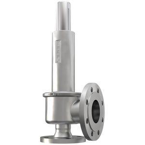 ANSI B2.1 pressure relief valve 1
