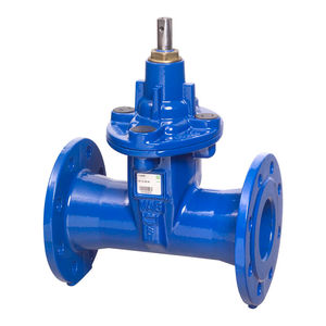 gate valve