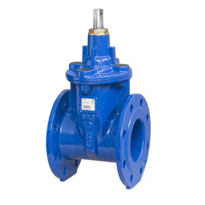 gate valve