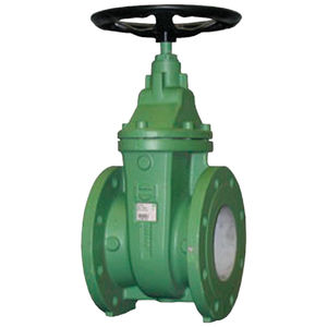 gate valve