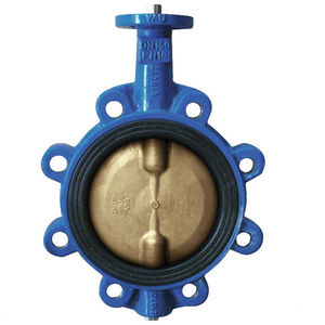butterfly valve