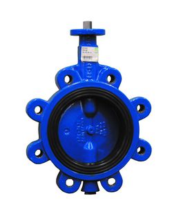 butterfly valve