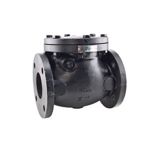 swing check valve