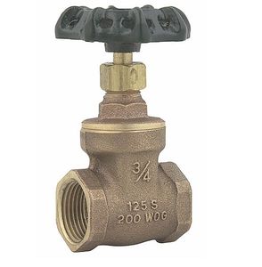 gate valve 1