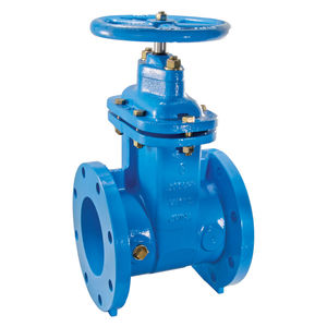 gate valve