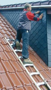 aluminum ladder