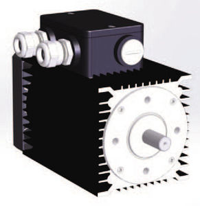 DC motor / brushless / 24V / 8-pole