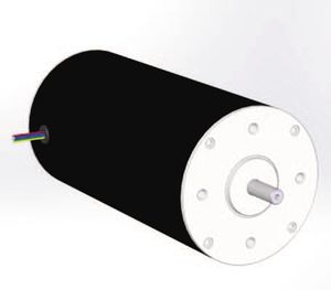 permanent magnet motor / DC / brushless / 24V
