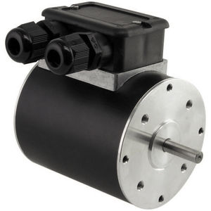 reversible motor